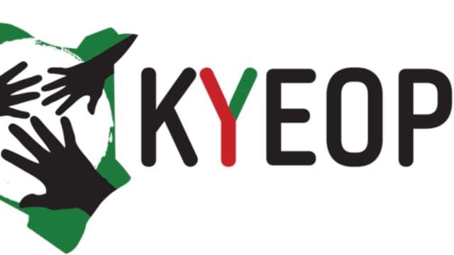 Youth Employment Initiative Launch